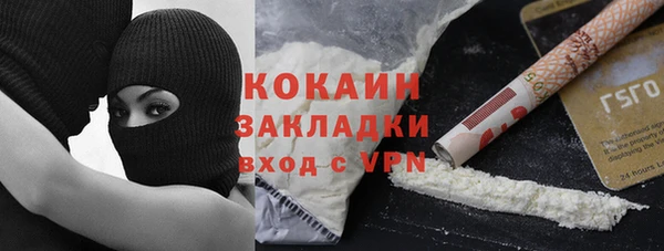 мдпв Дмитриев