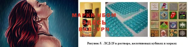 мдпв Дмитриев