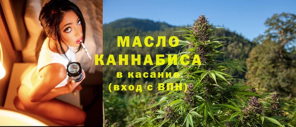мдпв Дмитриев