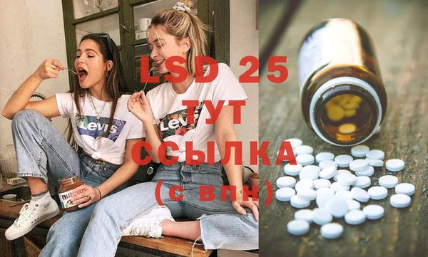 PSILOCYBIN Дмитров