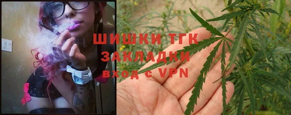 мдпв Дмитриев