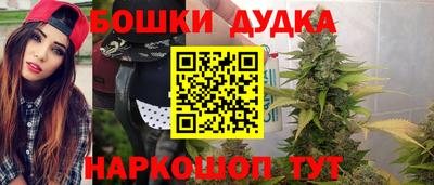 ALPHA PVP Гатчина