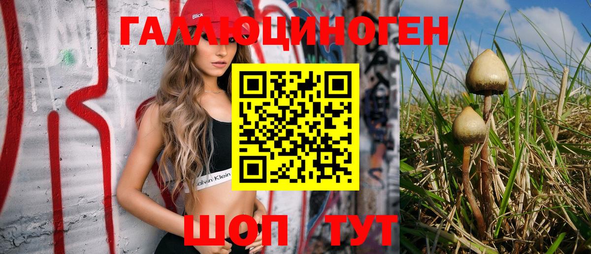 Железноводск  купить наркоту  Вход с VPN  Галлюциногенные грибы MAGIC MUSHROOMS 